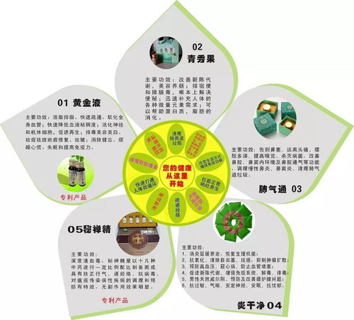 微循环 生命健康的基石与健康管理的核心